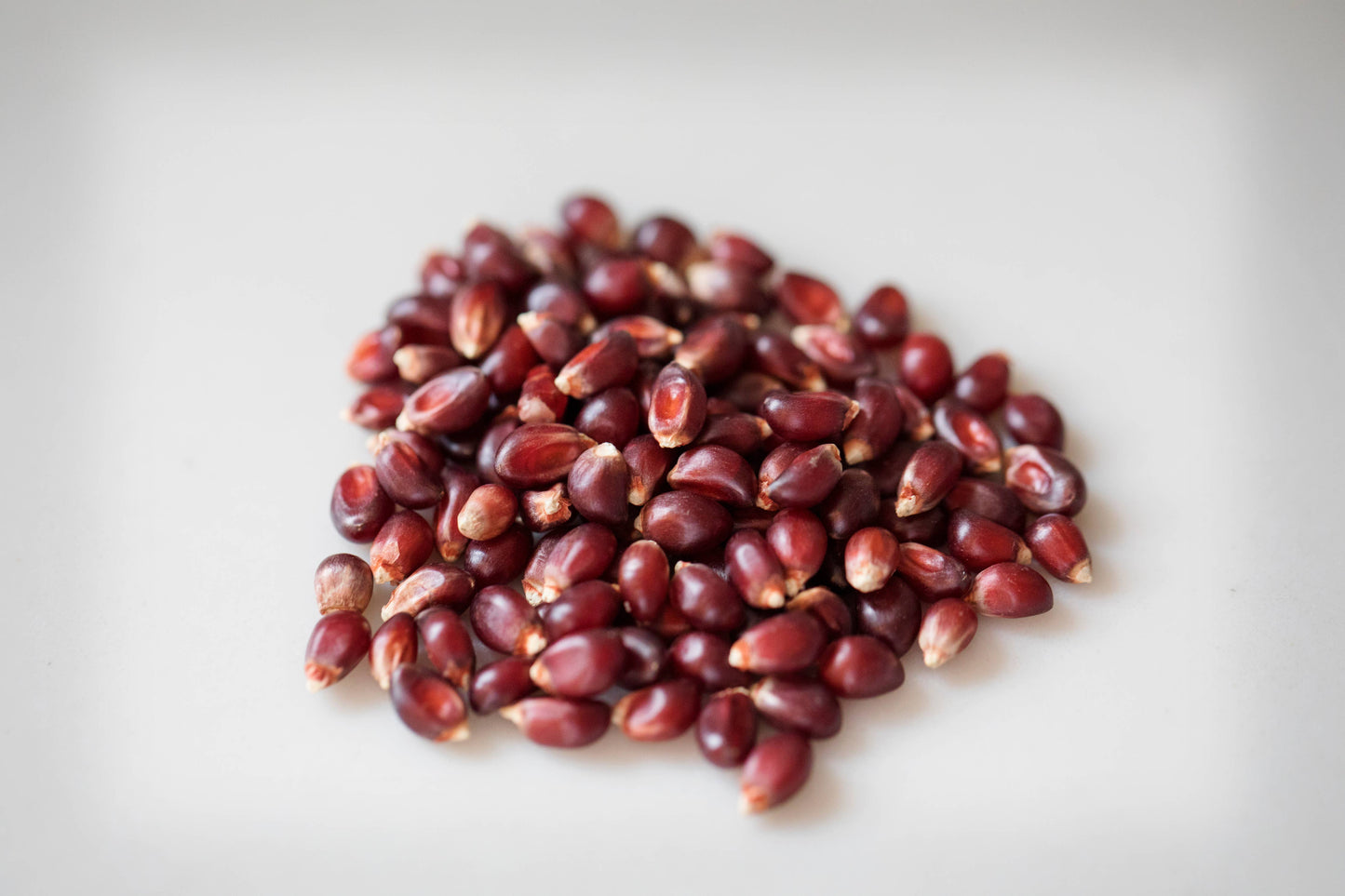 2lb Bag of Red Popcorn