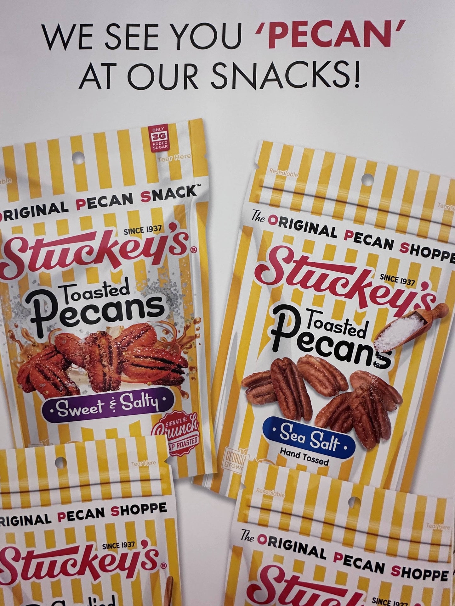Sea Salt Pecans 700