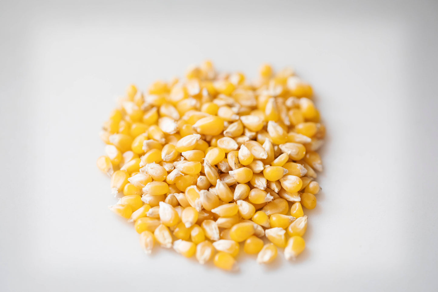 2lb Bag of Ladyfinger Hulless Popcorn