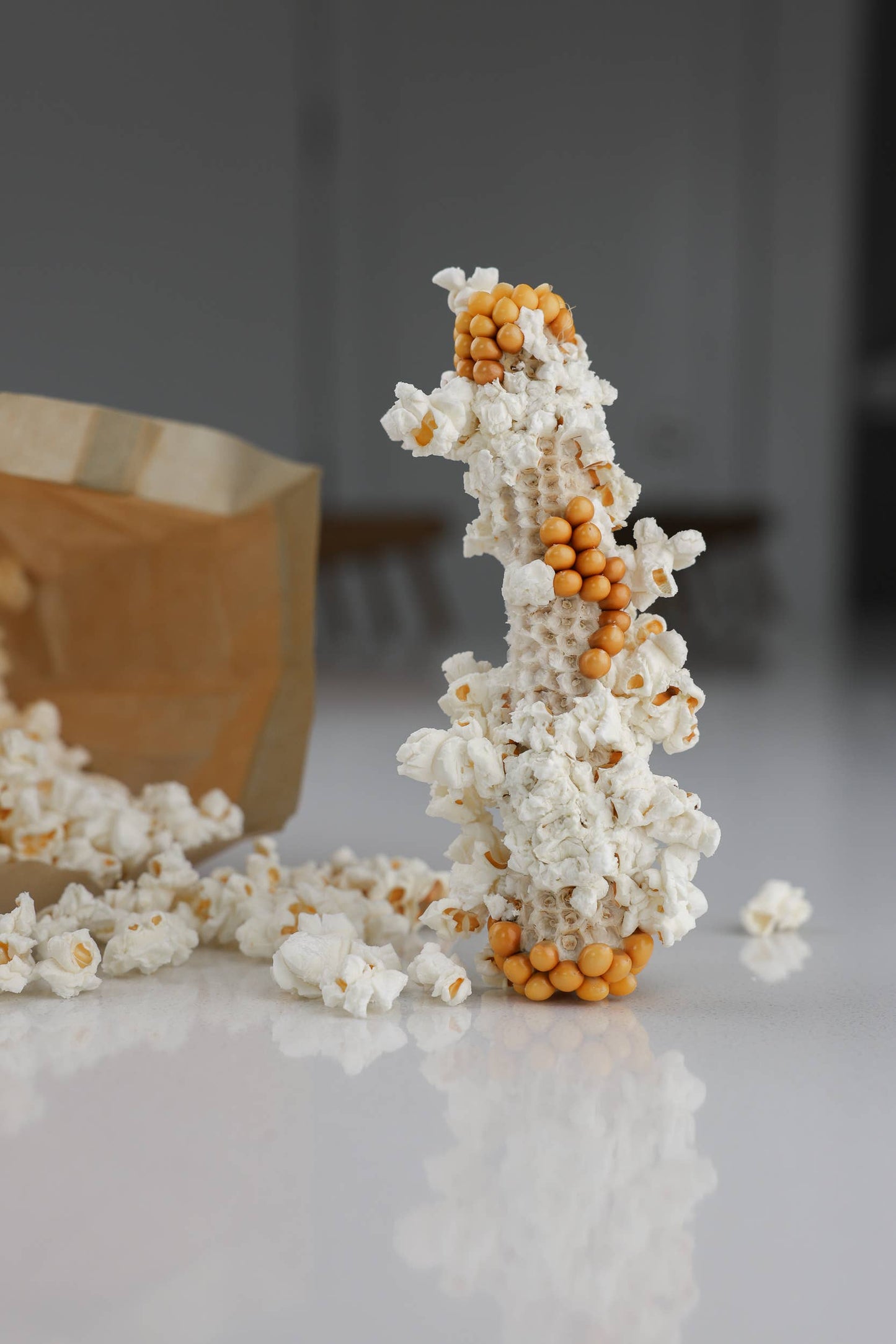 Twin Microwave Popcorn Cobs