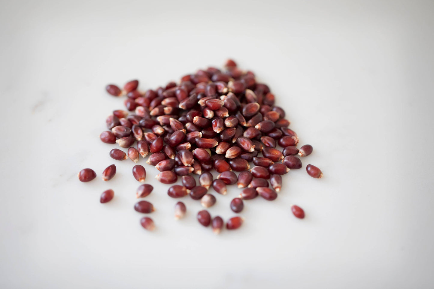 4oz Bag of Red Popcorn