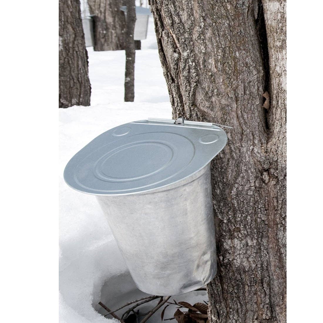 Pure Michigan Maple Syrup - 1 Bottle of 8 Fl. Oz.
