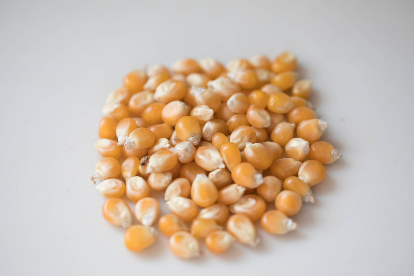 2lb Bag of Mushroom Popcorn