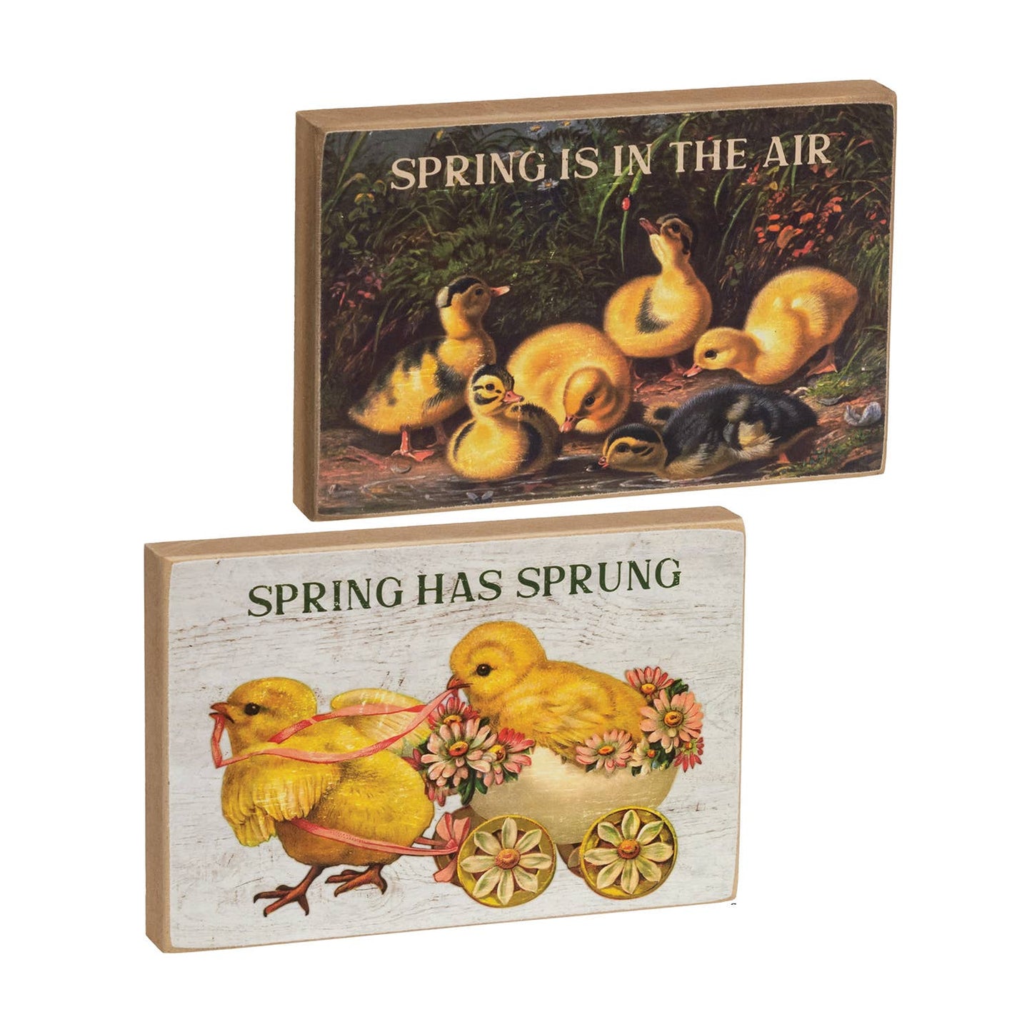 Spring Has Sprung Vintage Chick Block - 725