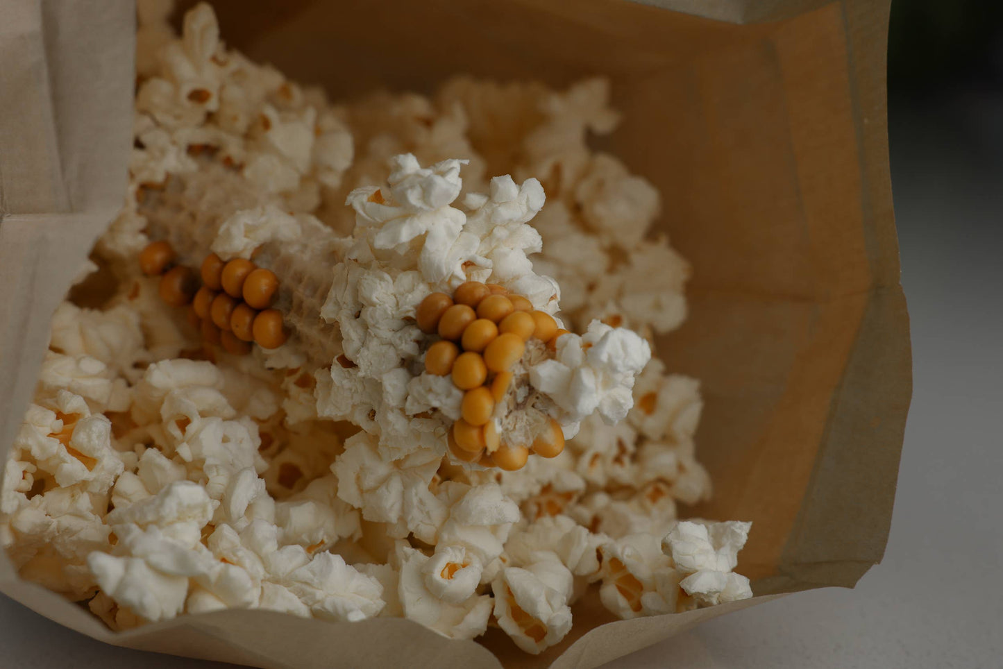 Twin Microwave Popcorn Cobs