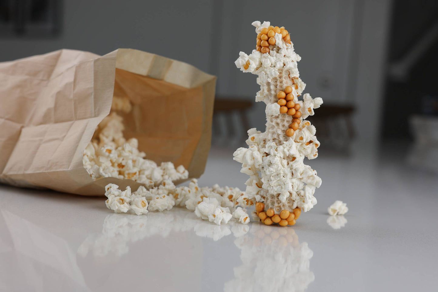 Twin Microwave Popcorn Cobs