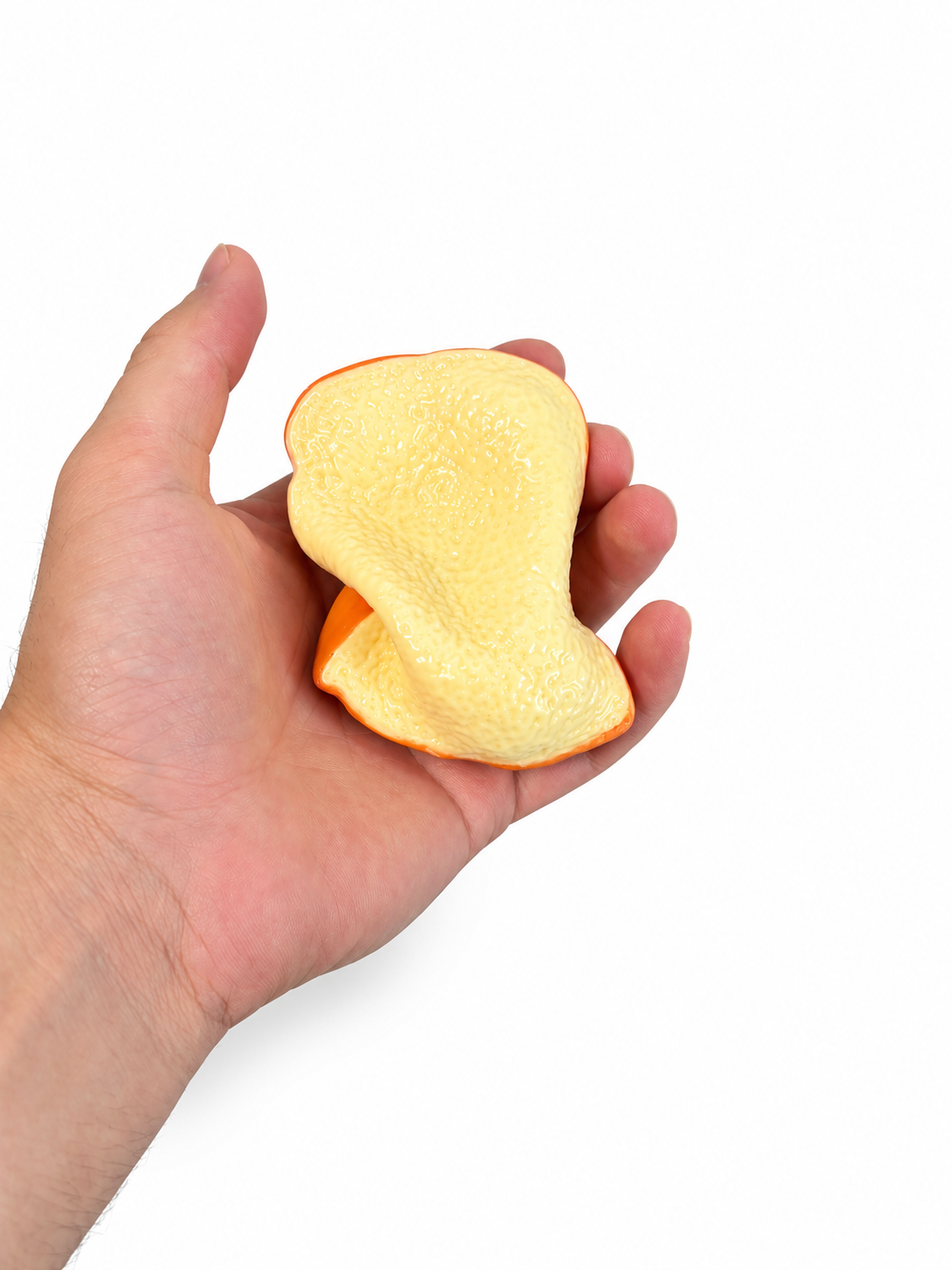 Crunchy Toast Squishy