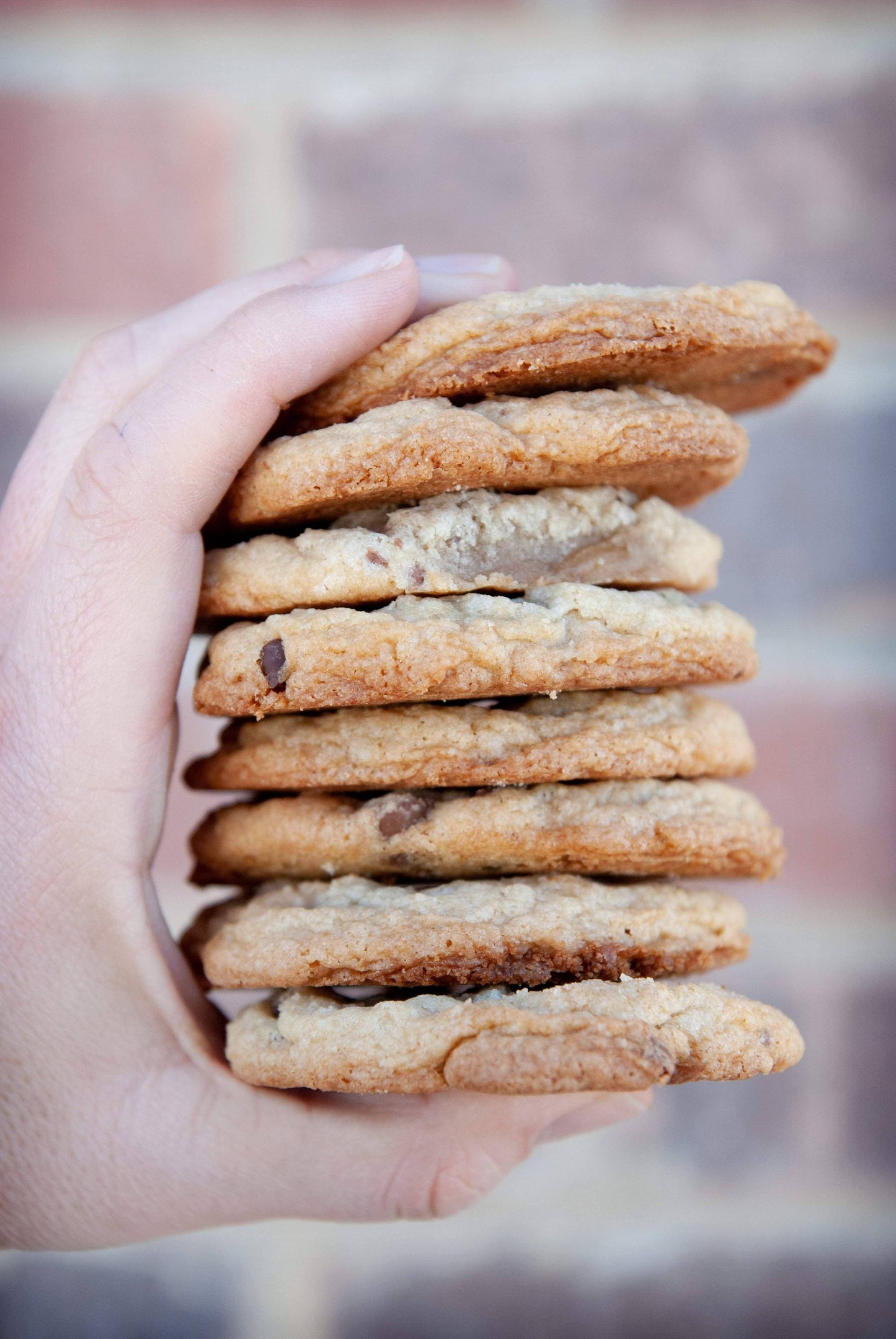 Gluten-Free Chocolate Chip Cookies Mix. 700